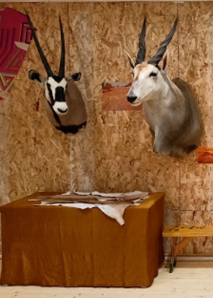 Африка...Сафари. Выставка