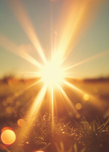 Май, лучами солнца согретый. Концертная программа